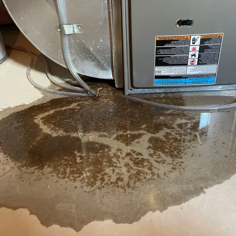 Pipe Burst and Leak Restoration in Waverly, NY